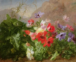 Still Life of Anemones in Undergrowth